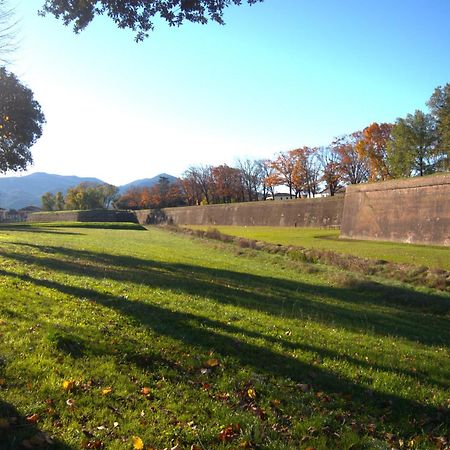 Appartamento Via Grandi - Free Gated Parking - 5 Minutes From Center Lucca Exterior photo